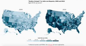 https://www.brookings.edu/blog/brookings-now/2017/03/23/working-class-white-americans-are-now-dying-in-middle-age-at-faster-rates-than-minority-groups/